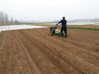 姜地熏藥機(jī)